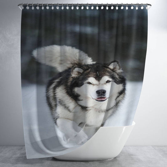 Alaskan Malamute Bathroom Shower Curtain Fabric Waterproof | 66 X 72 Inch