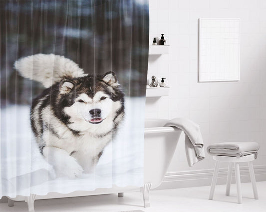 Alaskan Malamute Bathroom Shower Curtain Fabric Waterproof | 66 X 72 Inch