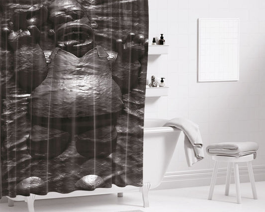Homer In Carbonite Bathroom Shower Curtain Fabric Waterproof | 66 X 72 Inch