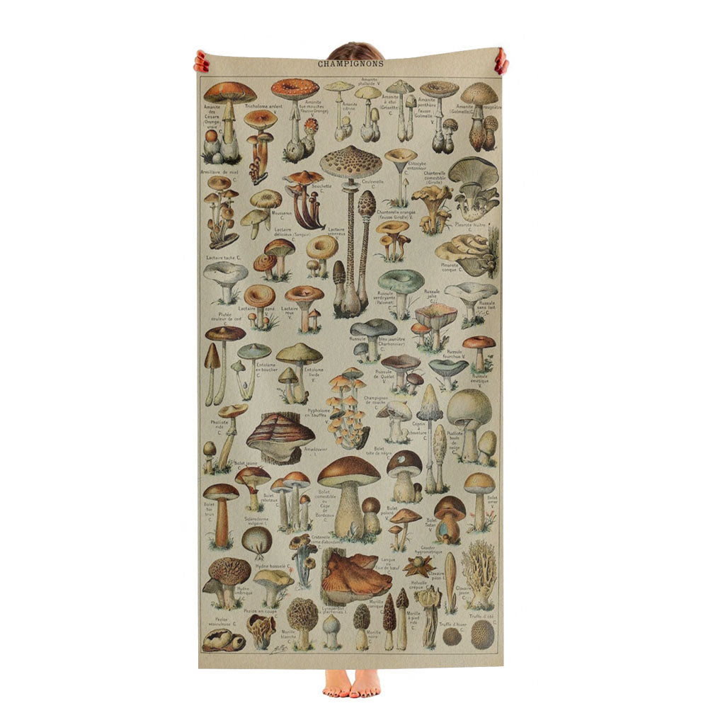 Adolphe Millot'S Mushroom Ultra-Soft Luxury Bathroom Towels