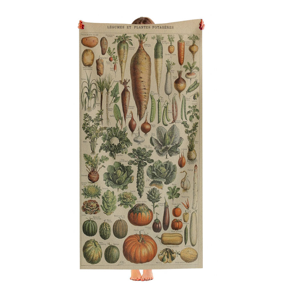 Adolphe Millot'S Vegetables Ultra-Soft Luxury Bathroom Towels