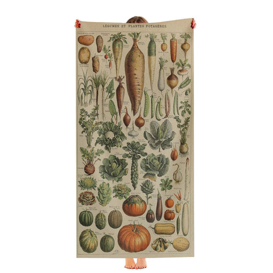 Adolphe Millot'S Vegetables Ultra-Soft Luxury Bathroom Towels