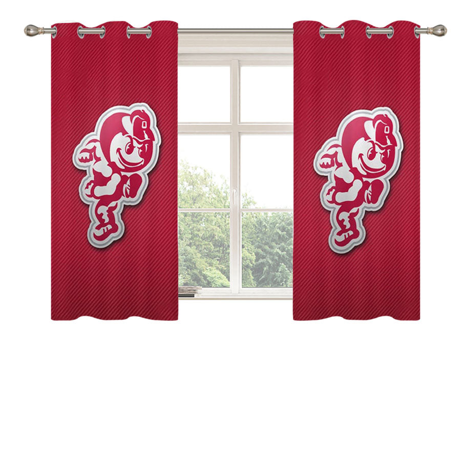 Ohio State Buckeyes Icon Peach Skin Window Curtains