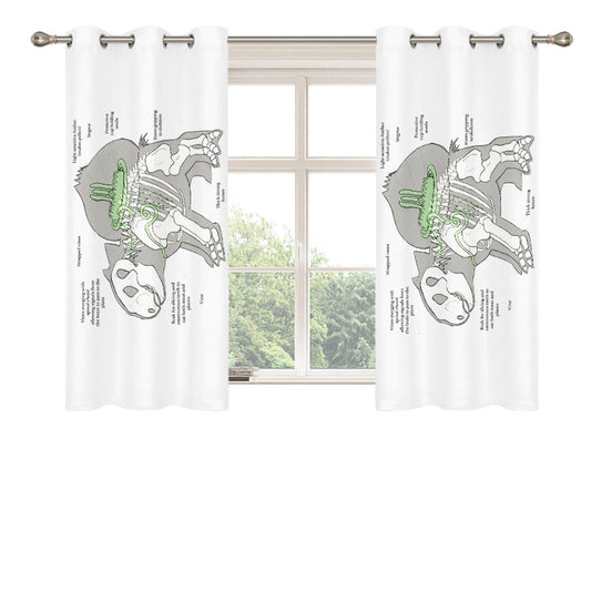 Pokemonography Bulbasaur Pokemon Pocket Monsters Peach Skin Window Curtains