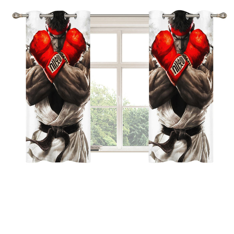 Street Fighter V Ryu Peach Skin Window Curtains